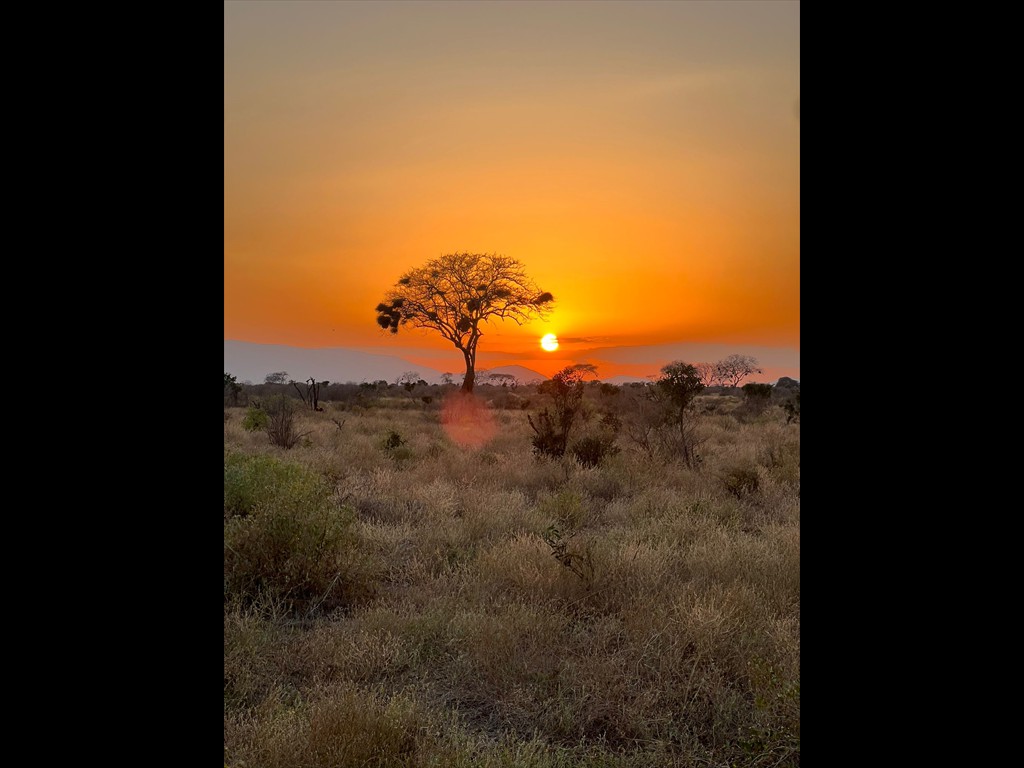 African sunset from Safari in East Tsavo National Park